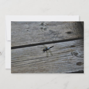 Carte Sur la promenade