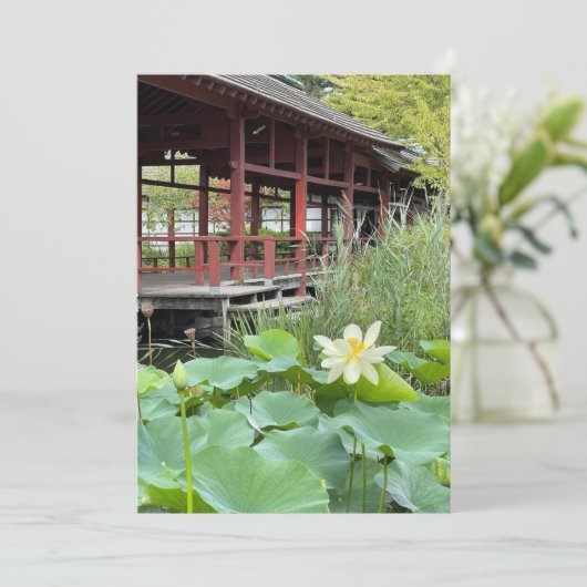 Carte Sur l'île (Debout devant)