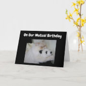 CARTE SUR NOTRE ***ANNIVERSAIRE MUTUEL**** HUMOUR (Fleur jaune)