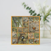 Carte sur un oiseau (Debout devant)
