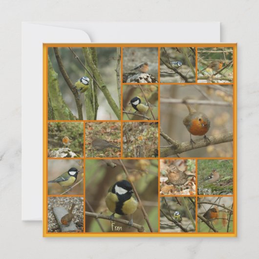 Carte sur un oiseau (Devant)