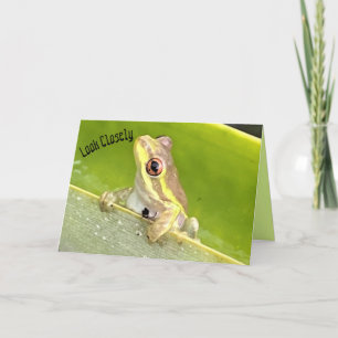 Carte Surprise ! Grenouille arboricole sur Plante ananas