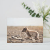 Carte Svalbard Arctic Fox (Debout devant)