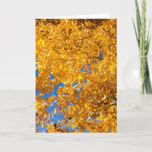 Carte SW Textures #4 (Devant)