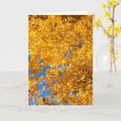 Carte SW Textures #4 (Fleur jaune)