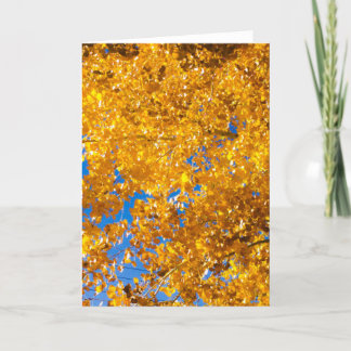 Carte SW Textures #4