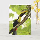 Carte Swainson Toucan Exotic Bird (Fleur jaune)