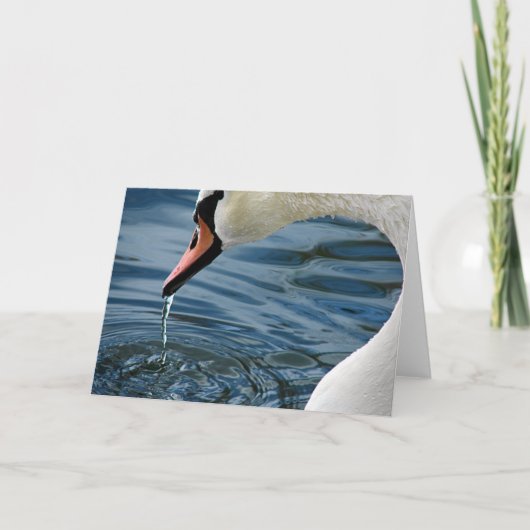 Carte Swan (Devant)