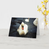Carte Swan - Galway, Irlande (Fleur jaune)