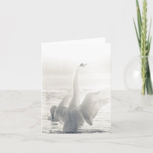 Carte Swan Wildlife (Devant)