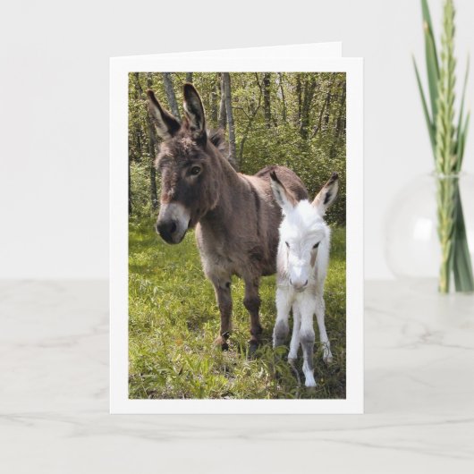 Carte Swee'pea (Devant)