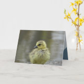 Carte Sweet Baby (Fleur jaune)