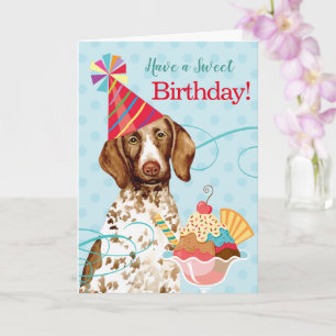 Carte Sweet Birthday Allemand Shorthair Pointer Card