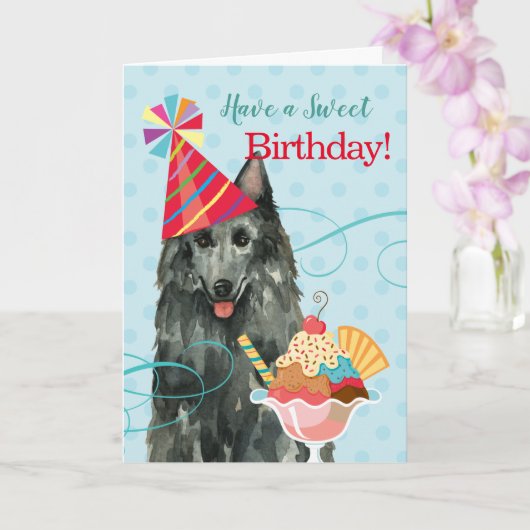 Carte Sweet Birthday Belge Sheepdog (Orchidée)