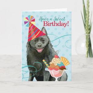 Carte Sweet Birthday Schipperke