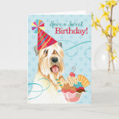 Carte Sweet Birthday Wheaten Terrier (Fleur jaune)