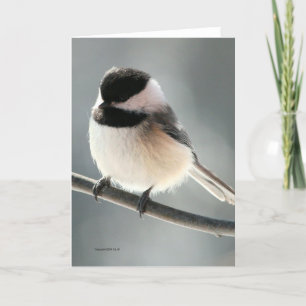Carte Sweet Chickadee