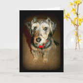 Carte Sweet Dog Pensant À Vous (Fleur jaune)