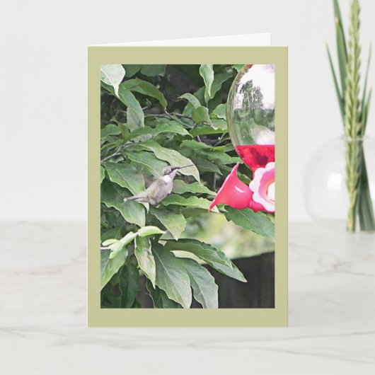 Carte Sweet Humming Bird Anniversaire Souhait (Devant)