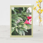 Carte Sweet Humming Bird Anniversaire Souhait (Fleur jaune)