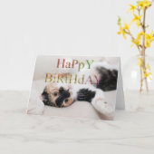 Carte Sweet kitty joyeux anniversaire (Fleur jaune)