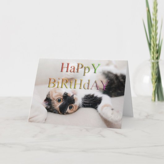 Carte Sweet kitty joyeux anniversaire (Devant)