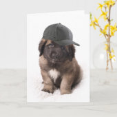 Carte Sweet Leonberger dog le chiot with a le cap (Fleur jaune)