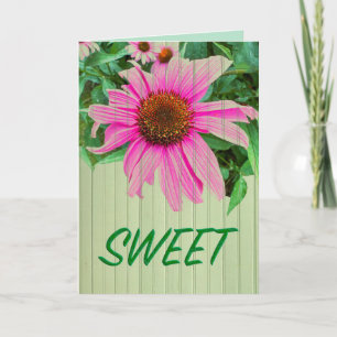 Carte SWEET marguerite violet rose confleur note de jard