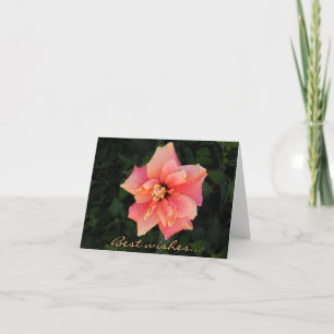 Carte Sweet rose Hibiscus Fleur Texte Personnalisé