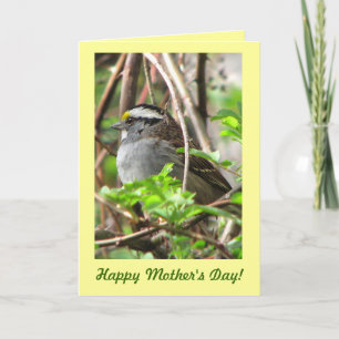 Carte Sweet Sparrow pour la fête des mères