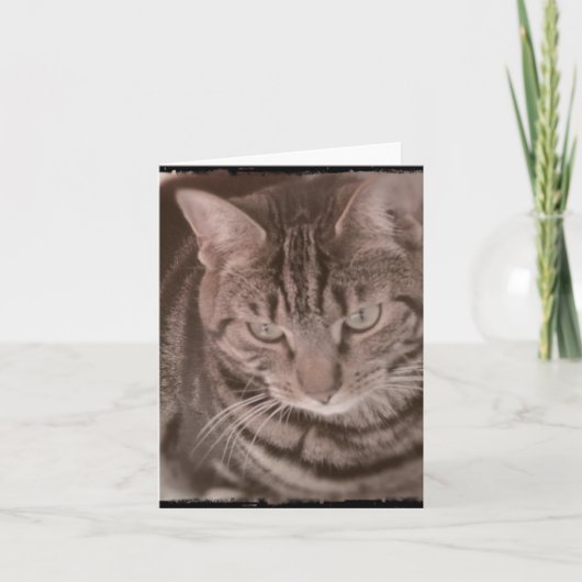 Carte Sweet Tabby Cat (Devant)