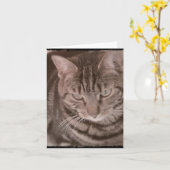 Carte Sweet Tabby Cat (Fleur jaune)
