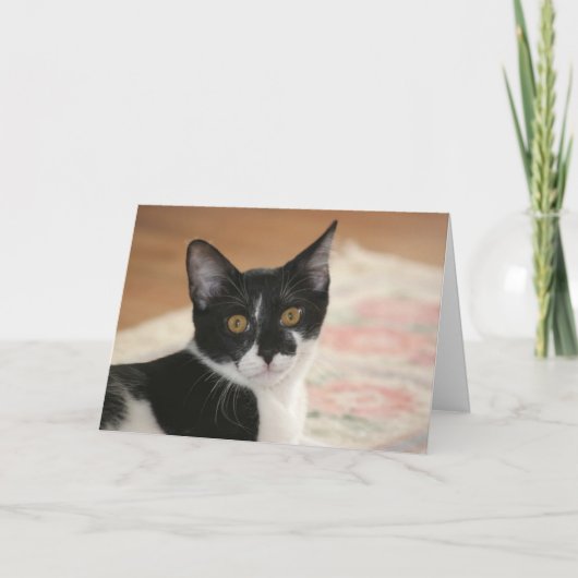Carte Sylvester (Devant)