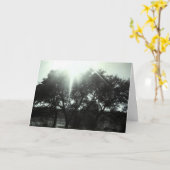 Carte Sympathie (Fleur jaune)