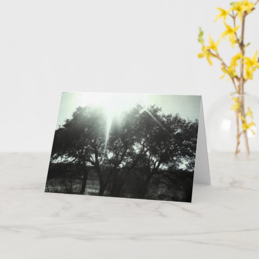 Carte Sympathie (Fleur jaune)