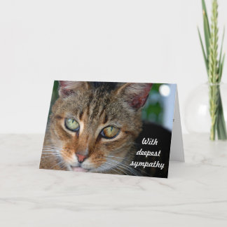 Carte Sympathie 2 de chat