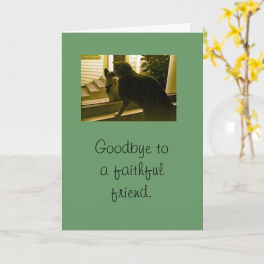 Carte - sympathie - Adieu à l'ami fidèle (Fleur jaune)