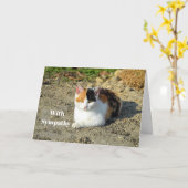 Carte Sympathie avec la photo de Calico Cat (Fleur jaune)