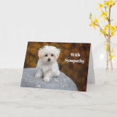 Carte Sympathie avec la photo de chiot blanc maltais (Fleur jaune)