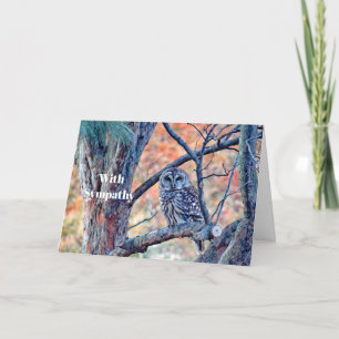 Carte Sympathie avec la photo de l'arbre de la Chouette 