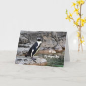 Carte Sympathie avec la photo de Pingouin de la faune (Fleur jaune)