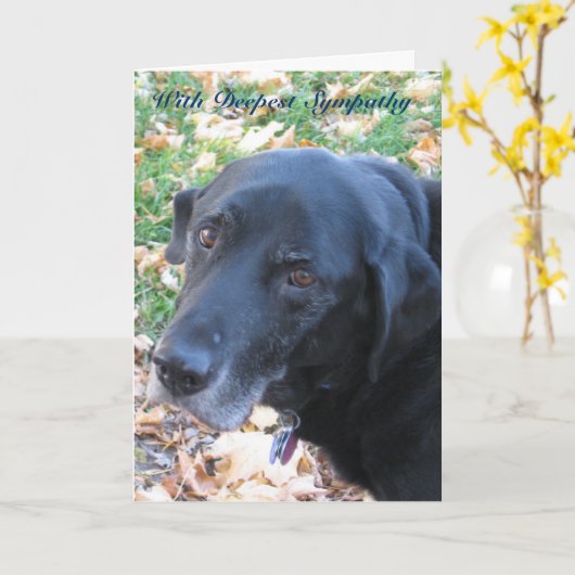 Carte Sympathie avec l'animal (Fleur jaune)