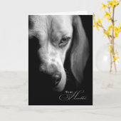 Carte Sympathie avec l'animal | Perte de chien | Noir Be (Fleur jaune)