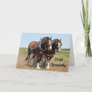 Carte Sympathie avec l'élevage du cheval Clydesdale
