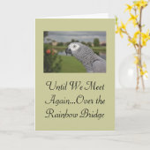 Carte Sympathie avec les animaux de compagnie gris d'Afr (Fleur jaune)