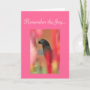 Carte Sympathie avec les animaux de compagnie gris d'Afr