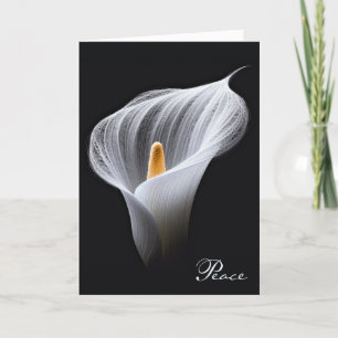 Carte Sympathie Blanche Lily sur Noir