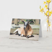 Carte Sympathie Brown de la chèvre couchée (Fleur jaune)