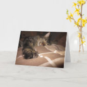 Carte Sympathie - chat (Fleur jaune)