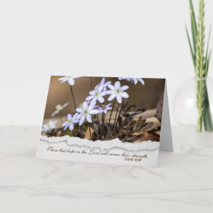Carte sympathie chrétienne fleur sauvage